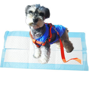 Cuidado com os Animais Tapetes Descartáveis Almofadados para Treinamento de Filhotes e Cães 22"x22" - Product Image 4