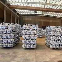Pieux à vis de sol bon marché et de haute qualité, ancrage au sol en béton, vis de montage, support solaire, tuyau en spirale