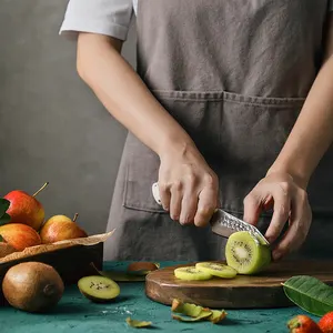 Xinzuo faca de cozinha de alta qualidade, faca em 67 camadas estilo damasco, em aço, branco g10, para descascar frutas