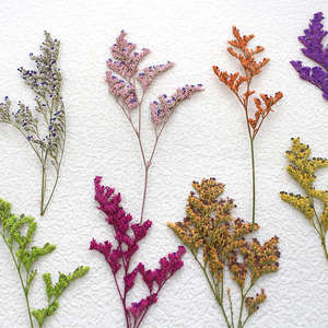 Fleurs Floral Résine Époxy <span class=keywords><strong>Tige</strong></span> Avec Branches Pression Positive Résine Moule Peinture Plante Naturelle Véritable Fleur Pressée - Product Image 4