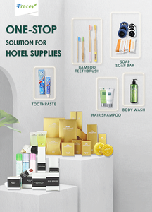 Fournitures de salle de bain : Kit dentaire / Brosse à dents et dentifrice pour hôtel et voyage / Brosse à dents et dentifrice pour restaurants et hôtels - Product Image 6