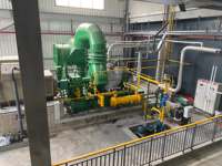 Groupe turbine-générateur à vapeur de biomasse industrielle pour applications d'alimentation électrique en usine