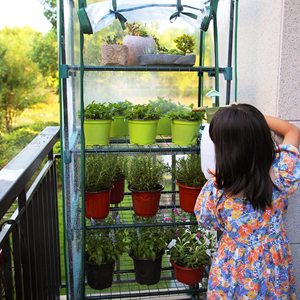 Estantes <span class=keywords><strong>de</strong></span> jardinería portátiles resistentes TAK <span class=keywords><strong>con</strong></span> cubierta <span class=keywords><strong>de</strong></span> <span class=keywords><strong>PVC</strong></span>, uso <span class=keywords><strong>de</strong></span> casa verde pequeña en jardín interior, miniinvernadero <span class=keywords><strong>de</strong></span> 4 niveles - Product Image 5