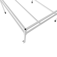 Bac de culture avec plantes, taille 4x4, 3x6, 4x6, 4x8, bacs à semis couverts, système hydroponique pour serre/chambre de culture
