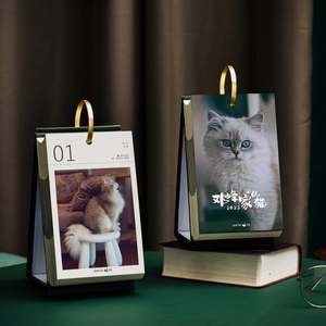 Tùy Chỉnh Lịch Mèo 2022 365 Ngày Một Ngày Một Con Mèo Đám Mây Lịch Bàn Đơn - Product Image 2