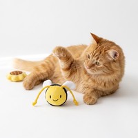 Jouets pour chats d'intérieur personnalisés avec logo en gros