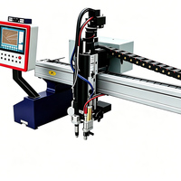 Machine de découpe plasma CNC économique de haute technologie pour une découpe facile de l'acier au carbone, de l'acier inoxydable et du métal
