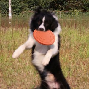 Vente en gros de jouets interactifs pour chiens, petits disques pliables, disques volants - Product Image 2