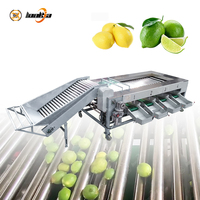 Industriële tomaten- en citrussorteermachine met automatische rollen, groente- en citrus sorteersysteem, industriële apparatuur