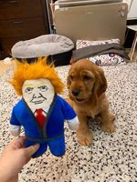 Meilleur jouet à couiner pour chien, résistant aux morsures, jouets à mâcher interactifs pour chien Donald-pour petits et moyens chiens