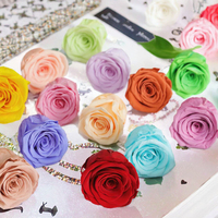 Tête de rose stabilisée faite à la main, fleur éternelle préservée, décoration de remise de diplôme, Nouvel An, Noël, Thanksgiving, longue durée, 3-5