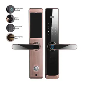 Factory Supply Digital Hotel Lock System Keyless Smart Door Front Aluminum Door Lithium Battery Smart Door Lock