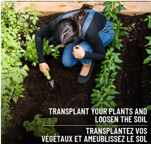 ODEN OD-50386 Herramientas de Jardinería Pequeñas de Acero Inoxidable de Alta Resistencia, Mango Ergonómico, <span class=keywords><strong>Pala</strong></span> de Jardinería Duradera, Macetas, Jardineras - Product Image 3