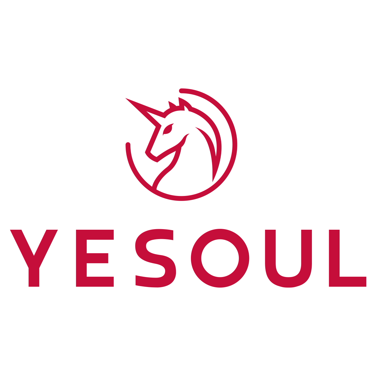 Fujian Yesoul Health Technology Co., Ltd. logo