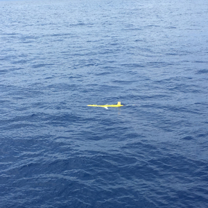 <span class=keywords><strong>AUG</strong></span>-planeador submarino PROFILER submarino no tripulado, Submarino - Product Image 1