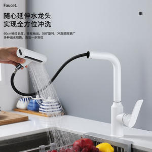 Grifo de Cocina de Acero Inoxidable Extraíble de 60 cm con Rotación de 360 Grados, Monomando, Montaje en Encimera, Agua Fría y Caliente - Product Image 1