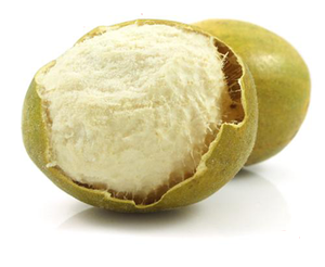 สารสกัดจากหล่อฮังกั๋ว (มะขามป้อม) แบบผง เกรดอาหาร บรรจุถัง 25 กก. - Product Image 2