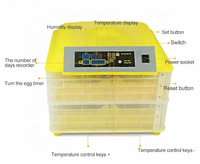 Mini incubateur d'oeufs de poule de marque pour 56 oeufs fonction de test LED matériau PP 220V pour canard dinde autruche oie nouvel état