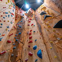Panneaux muraux d'escalade intérieurs et extérieurs commerciaux Mur d'escalade artificiel Jeux muraux d'escalade pour enfants