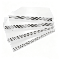 Panneau de coffrage en plastique PP résistant aux chocs et imperméable pour la construction en béton