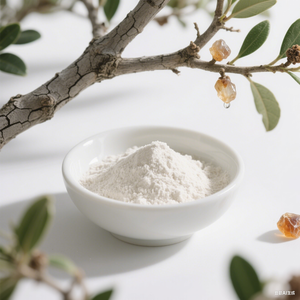 Чистый натуральный экстракт Longsheng <span class=keywords><strong>Boswelia</strong></span> <span class=keywords><strong>Serrata</strong></span>, порошок, экстракт ладана в банку и вакуумная упаковка - Product Image 5