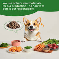 Compléments alimentaires pour animaux de compagnie OEM/ODM, complément alimentaire quotidien pour la santé de la peau, complément alimentaire contre les allergies, complément alimentaire pour le système immunitaire pour chiens et chats