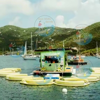 Bar flottant gonflable robuste avec plateforme antidérapante en Drop-Stitch et porte-gobelets pour complexe hôtelier, marina, fête sur le lac