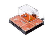 Fourmilière Modulaire Démontable en Forme de Château avec Zone d'Activité – Habitat DIY pour Colonies de Fourmis