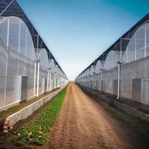Agricultura Singlespan Túnel Invernadero Nueva condición Arco Forma Carpa para cultivos Plantación/Vivero