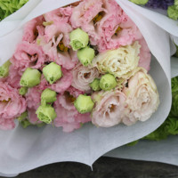 Bunga Eustoma Lisianthus Pink Sunshine dengan Sentuhan Realistis, Bunga Utama untuk Dekorasi, Mawar Kertas, Karangan Bunga, dan Tanaman