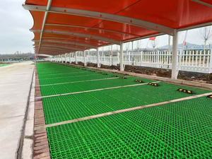 Trottoir <span class=keywords><strong>de</strong></span> conception <span class=keywords><strong>de</strong></span> chemin <span class=keywords><strong>de</strong></span> jardin d'allée <span class=keywords><strong>de</strong></span> gravier <span class=keywords><strong>de</strong></span> grille en <span class=keywords><strong>plastique</strong></span> <span class=keywords><strong>pour</strong></span> des pentes/pavés/stabilisation <span class=keywords><strong>de</strong></span> sol - Product Image 4