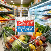 Sac isotherme en mousse EPE et feuille d'aluminium, grande taille, imperméable, pour la livraison d'aliments surgelés
