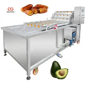 Industrial Date Wash Dry Production Line Washing Sorting Drying Avocado Cleaning and Grading Machine