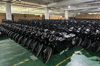 Motocicleta Eléctrica de Turismo DY-FREE 3000W >80km/h 60V/72V Batería LiFePO4 de 70Ah Neumático Grueso Ultra Resistente al Frío para Rusia