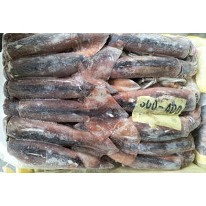 Calamari Congelati Naturali a Basso Prezzo, Fornitore di Calamari Illex Congelati U3 - Product Image 4
