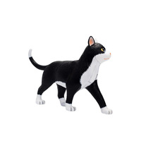 Modèle d'anatomie animale de chat simulé en 28 parties pour la science médicale, cadeau pour enfants, ressource pédagogique CE/ISO