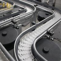 Système de Convoyeur à Chaîne Flexible à Installation Facile en Acier Inoxydable pour l'Industrie des Boissons et de l'Emballage