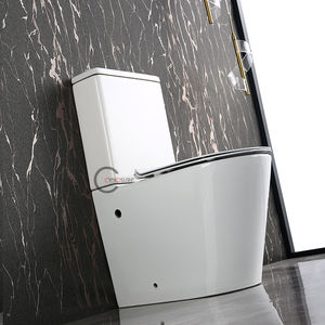 Juego de Inodoro de Cerámica de Dos Piezas con Sifón en P, Estilo Moderno, Estándar Europeo 2026, Último Modelo - Product Image 3