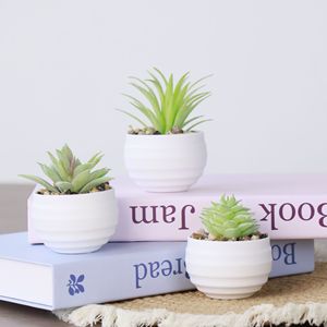 Artificial Succulent Realistic Eco-Friendly Handmade Modern Plastic <strong>Bonsai</strong> for Office Desktop and Home Small Potted Decor - Product Image 1