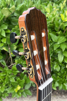 Aiersi Brand High Quality All Solid Cedar Top Flamenco 39 Inch Classical Guitar for Sale Professional Instrument