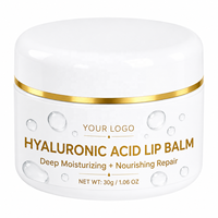 Baume à lèvres hydratant à l'acide hyaluronique au design haut de gamme, longue durée, estompant les ridules, haute valeur