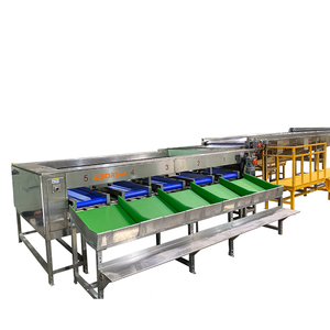 Dây chuyền phân loại làm sạch khoai lang tiên tiến chuyên nghiệp Dây chuyền phân loại làm sạch khoai lang thông minh - Product Image 3