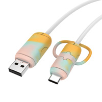Protection tout compris, organisateur de câbles de données, étui de câble de charge en silicone mignon de dessin animé pour Type-C compatible avec IOS