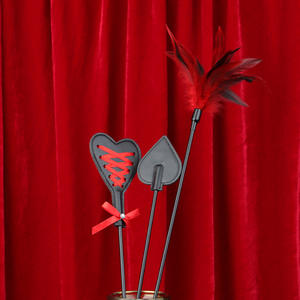 Sm Conditionering Seksproducten Podium Rekwisieten Rollenspel Tools Seksspeeltjes Zwart Zweep Sm Speelgoed - Product Image 2