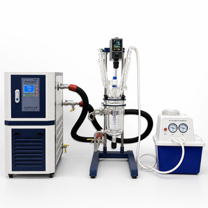 Reattore in Vetro Incamiciato da Banco 1L 2L 3L 5L, Pentola di Reazione in Vetro con Agitazione Sottovuoto per Sintesi Chimica in Laboratorio - Product Image 3