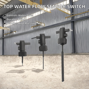 Interrupteur de débit magnétique en plastique le plus vendu avec conception à palette pour pompe à eau - Product Image 2