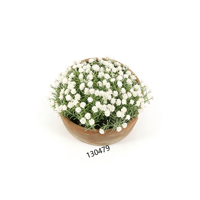 Buket Bunga Baby's Breath Buatan Premium dalam Pot Semen, Bunga Liar Tahan Lama, Bunga Putih Palsu untuk Meja Kopi dan Pintu Masuk