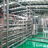 Industriële Mango Juicer Extractor Maken Lijn Mango Sap Verwerkingsmachine