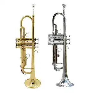 Performance tromba piatta B-Tone principianti banda strumenti musicali Set Base in ottone oro laccato