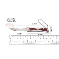 Draagbare Roestvrijstalen Opvouwbare Mes Mini Pakket Opener & Fruit Mes Met Sleutelhanger Voor Outdoor Camping Zelfverdediging